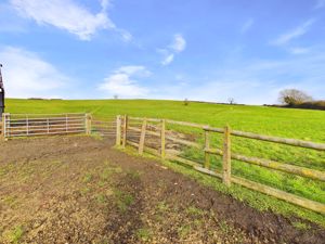 Field- click for photo gallery